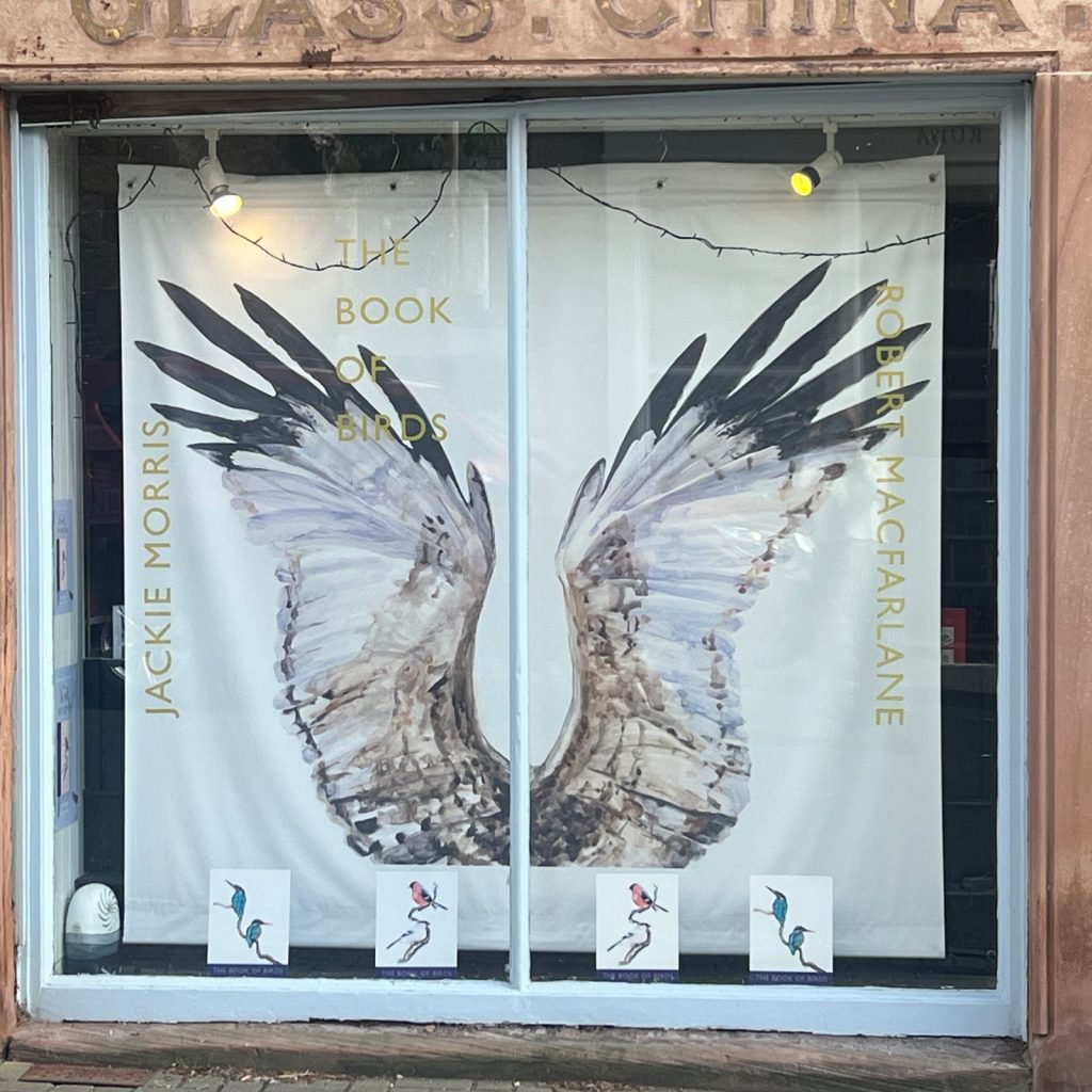 Website Windows